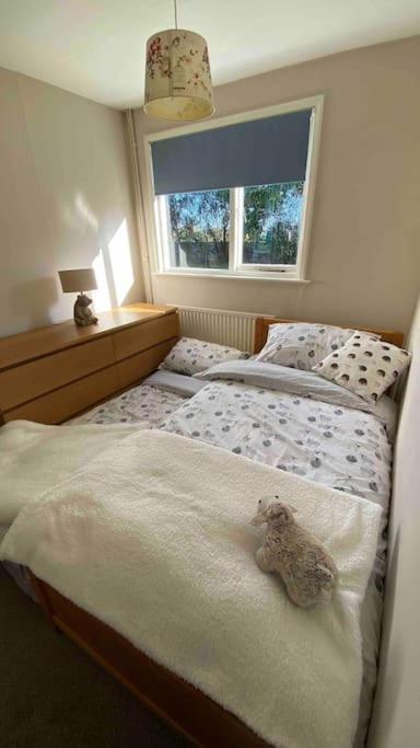 Cheerful 3 Bedroom Bungalow With Indoor Fire Place Gloucester Bagian luar foto